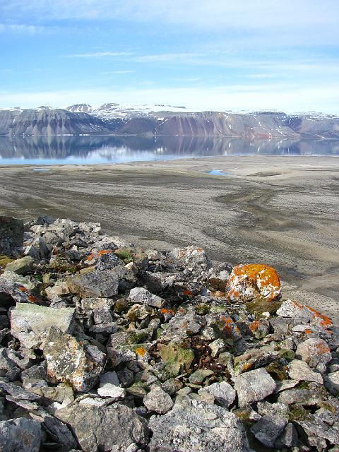 longyearbyen_8thjuly_jmb 026.jpg - ... à proximité des dépôts de guano où se développent par ailleurs des lichens (en jaune)